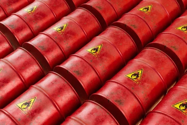 A Culinary Adventure Discover the Delights of a Finnish Christmas in Helsinki